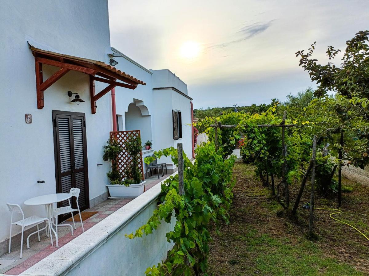 Il Giunco B&B Vieste Exterior foto
