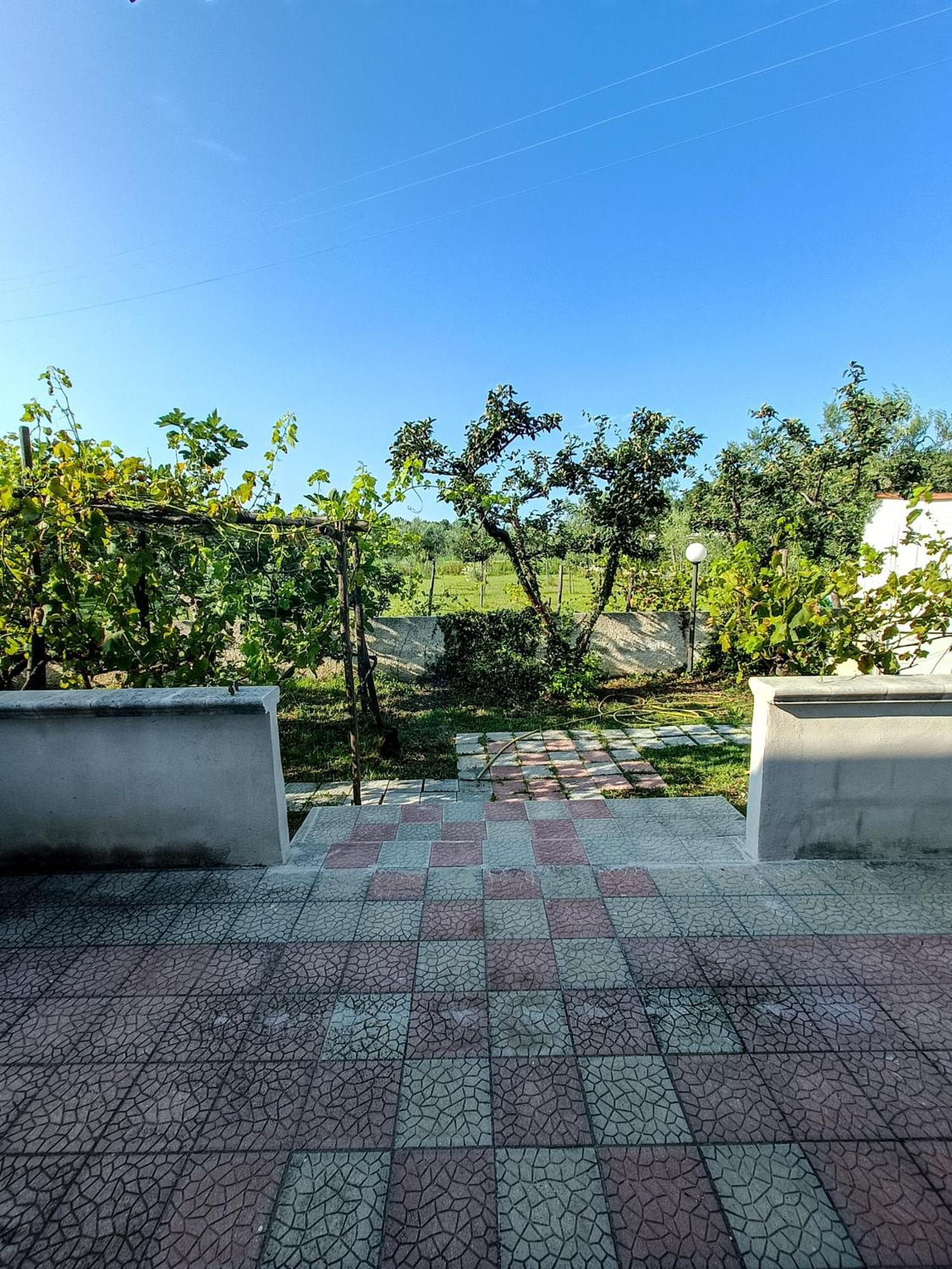 Il Giunco B&B Vieste Habitación foto