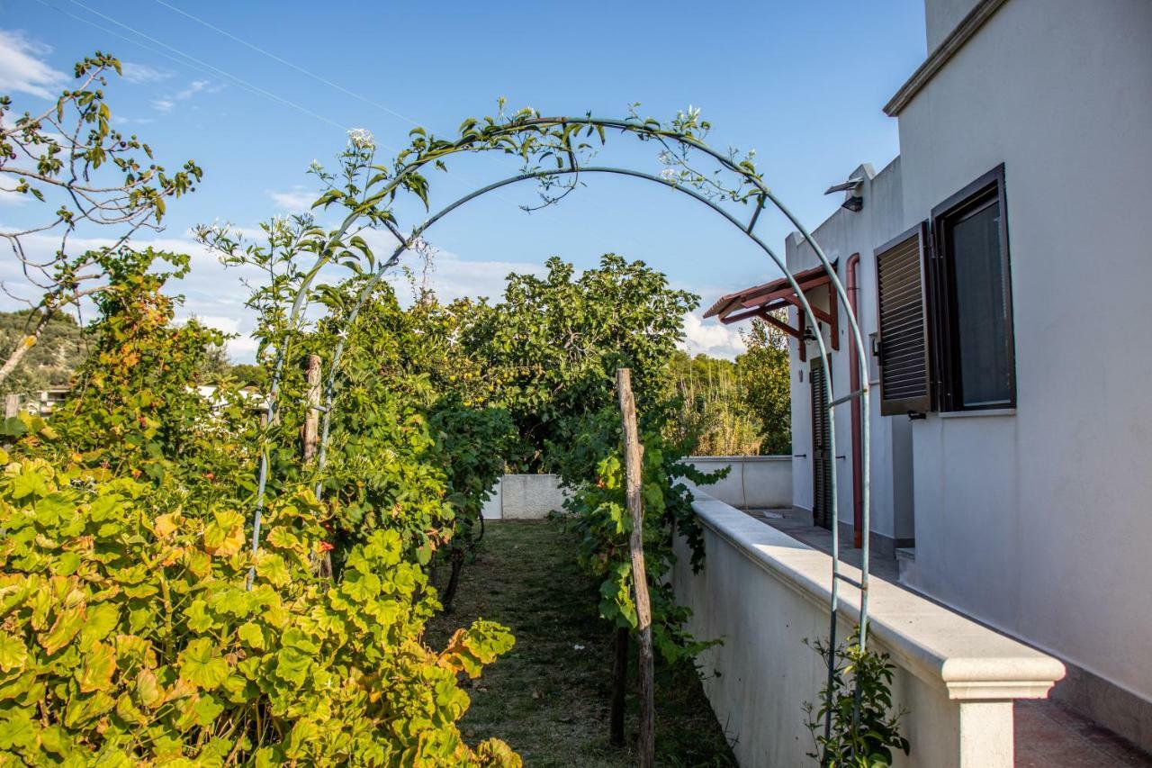 Il Giunco B&B Vieste Exterior foto